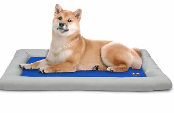 Arf Pets: Cooling Bed
