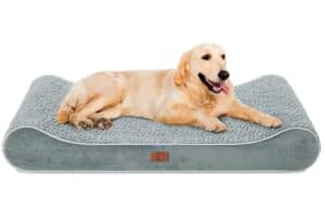 memory foam senior dog bed