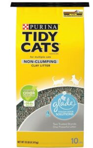 non clamping clay litter