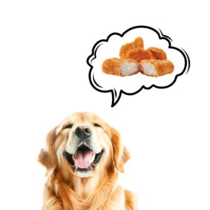 Can Dogs Eat Chicken Nuggets Dog is thinking about chicken nuggets showed in a bubble