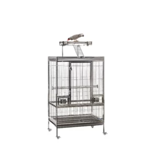 African Grey Parrot Cage Size