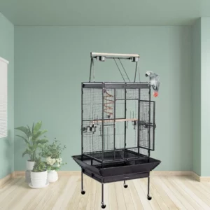 Best African Gray Parrot Cage