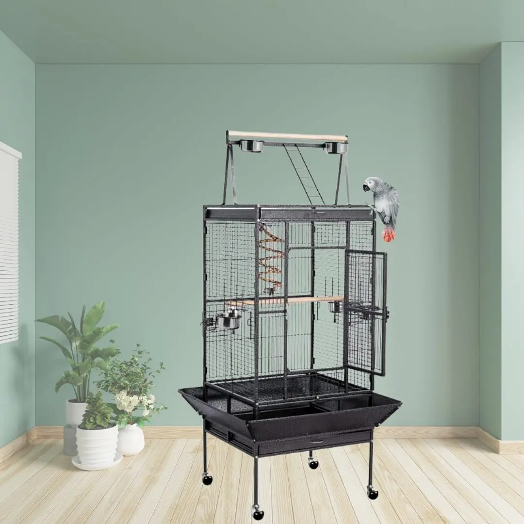 Best African Gray Parrot Cage