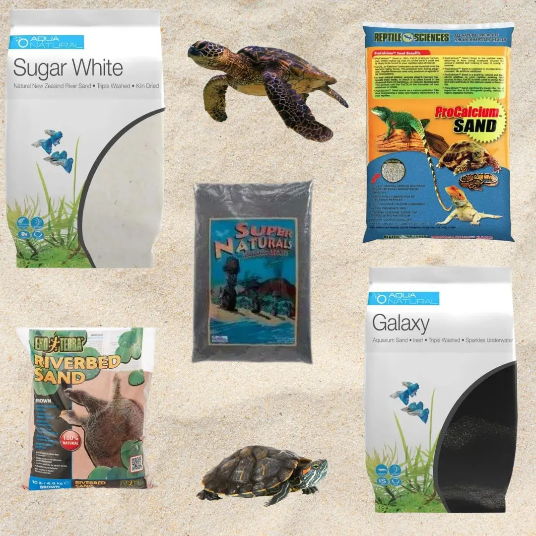 Best Sand for Turtle Tank
